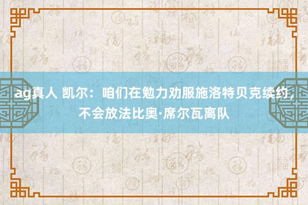 ag真人 凯尔：咱们在勉力劝服施洛特贝克续约，不会放法比奥·席尔瓦离队