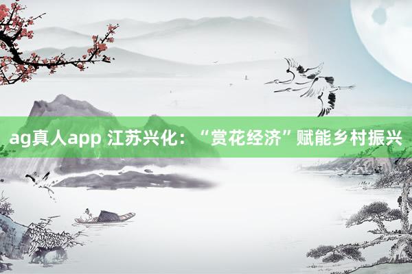 ag真人app 江苏兴化：“赏花经济”赋能乡村振兴