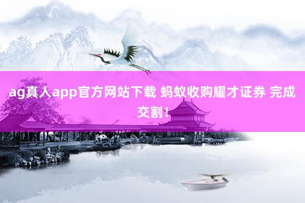 ag真人app官方网站下载 蚂蚁收购耀才证券 完成交割！