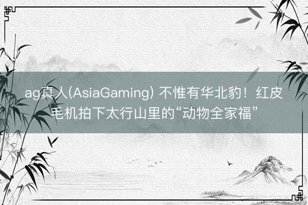 ag真人(AsiaGaming) 不惟有华北豹！红皮毛机拍下太行山里的“动物全家福”
