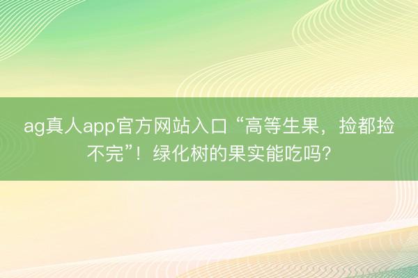 ag真人app官方网站入口 “高等生果，捡都捡不完”！绿化树的果实能吃吗？