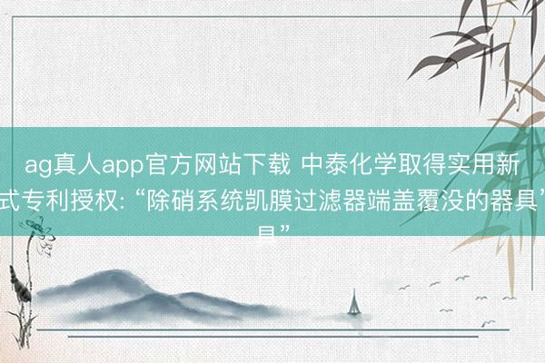 ag真人app官方网站下载 中泰化学取得实用新式专利授权: “除硝系统凯膜过滤器端盖